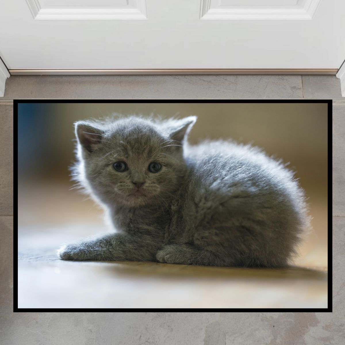 Personalised Cat Doormats